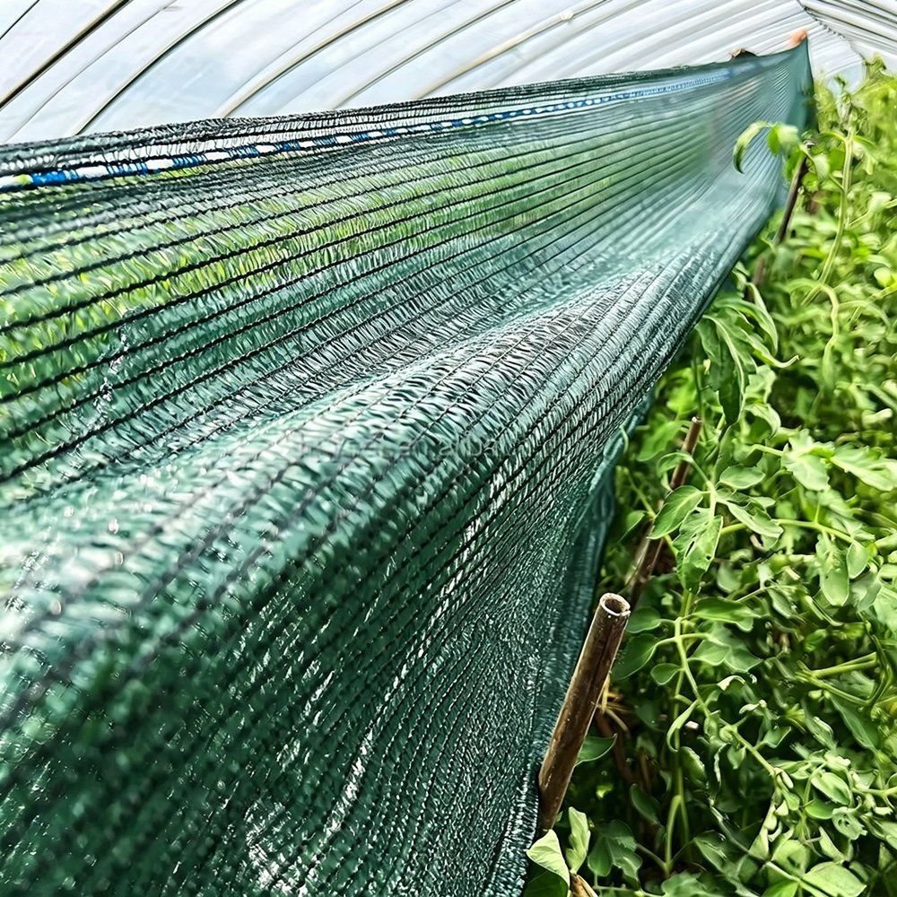 Green shade net pulled diagonally over pepper plants in a field