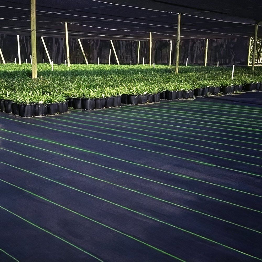 Woven weed mat covering the floor of a wide multi span greenhouse