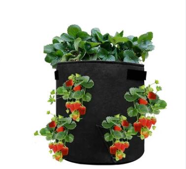Fruit Strawberry Planting Garden Round Fabric Felt Pot