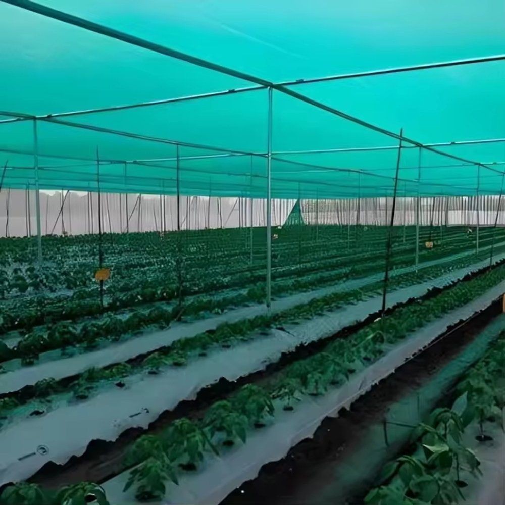 HDPE Agricultural Shade Net Sun Block Netting UV Protection for Greenhouse