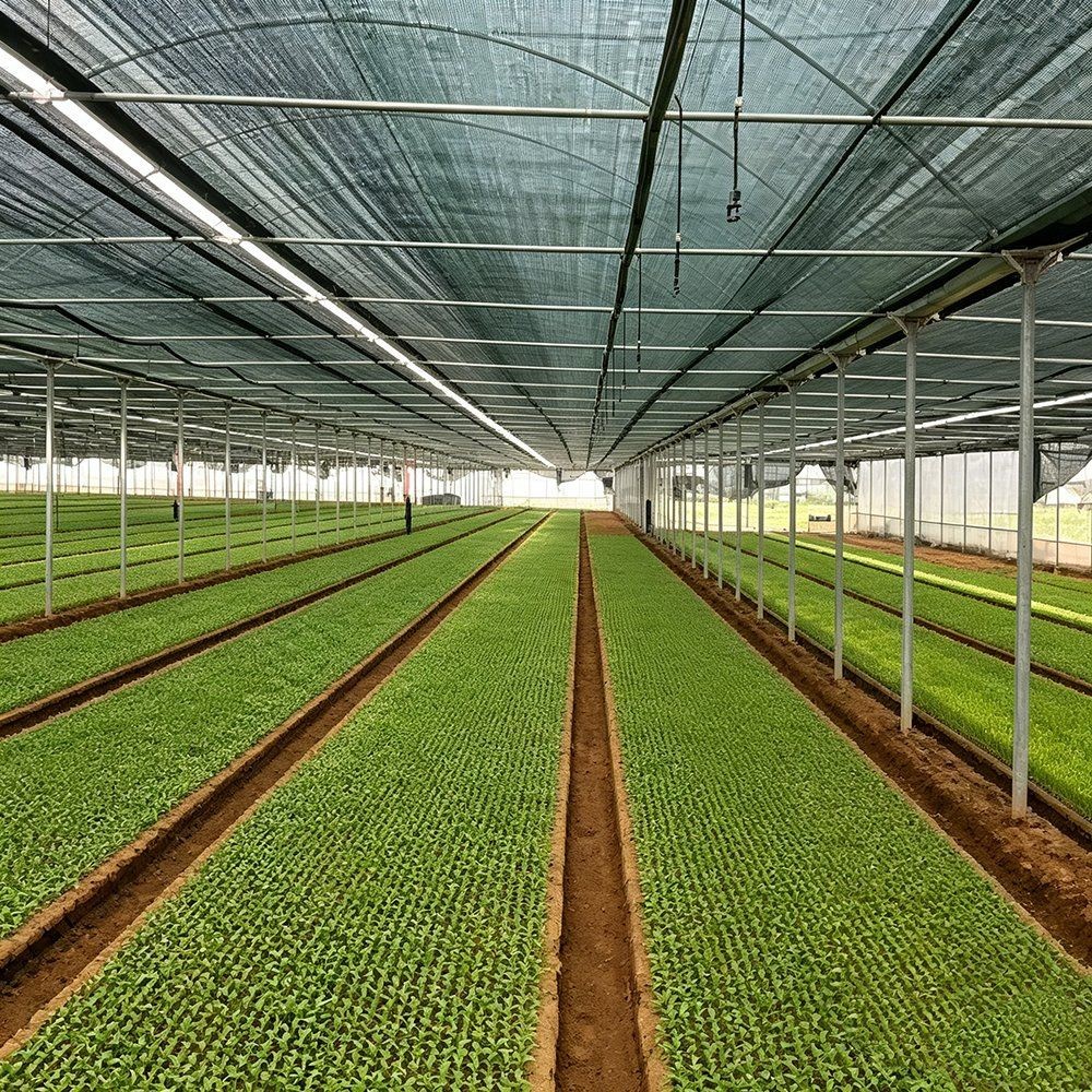 Knitted HDPE Shade Canopy Net for Greenhouse Farming 85 Percent