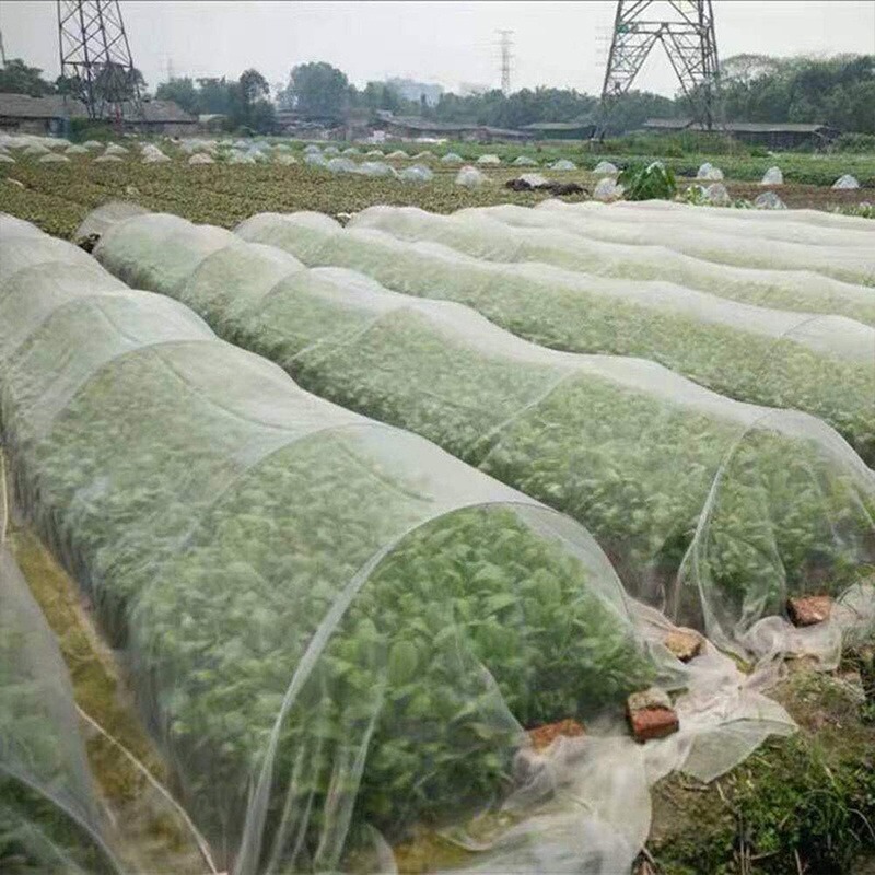 High Strength White Green Anti Insect Net for Vegetable Cultivation