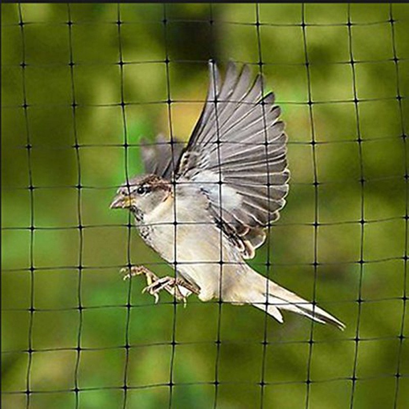 Agricultural Greenhouse Anti Bird Net in Black Monofilament Mesh