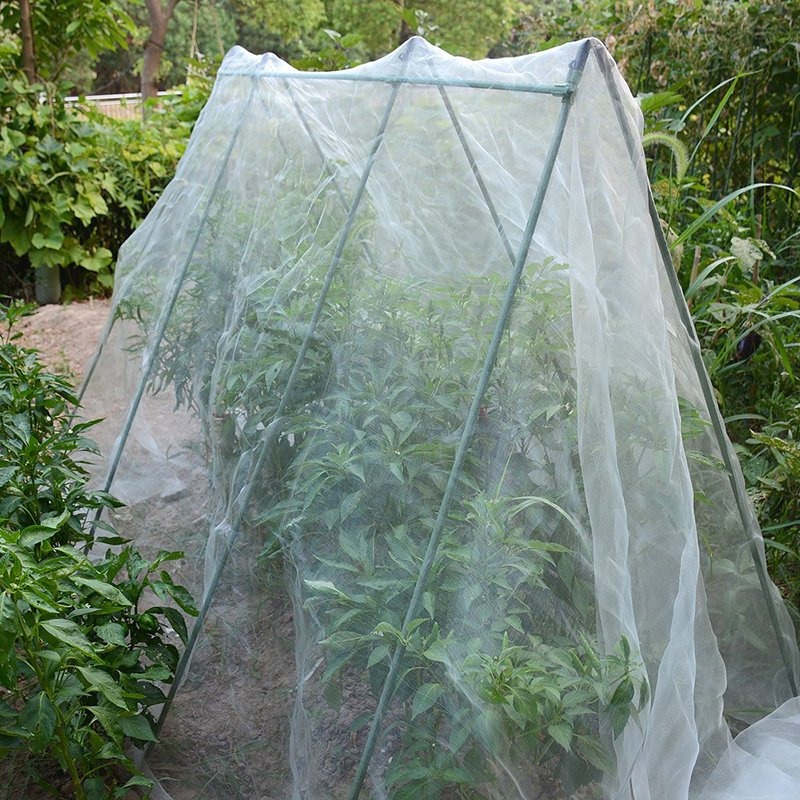 Transparent Insect Net with 50 by 25 Mesh for Vegetable Greenhouse Growers