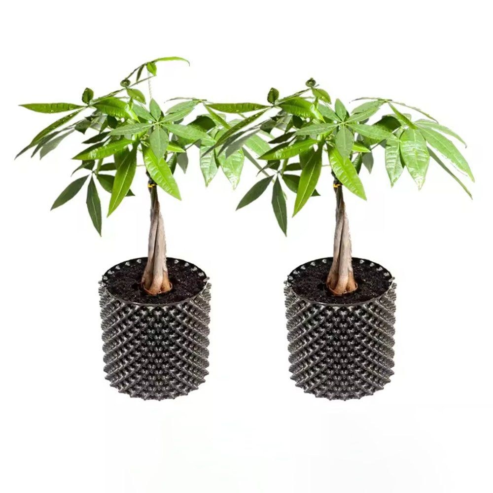 3 Gallon Air Pruning Pot Root Control Plastic Nursery Container