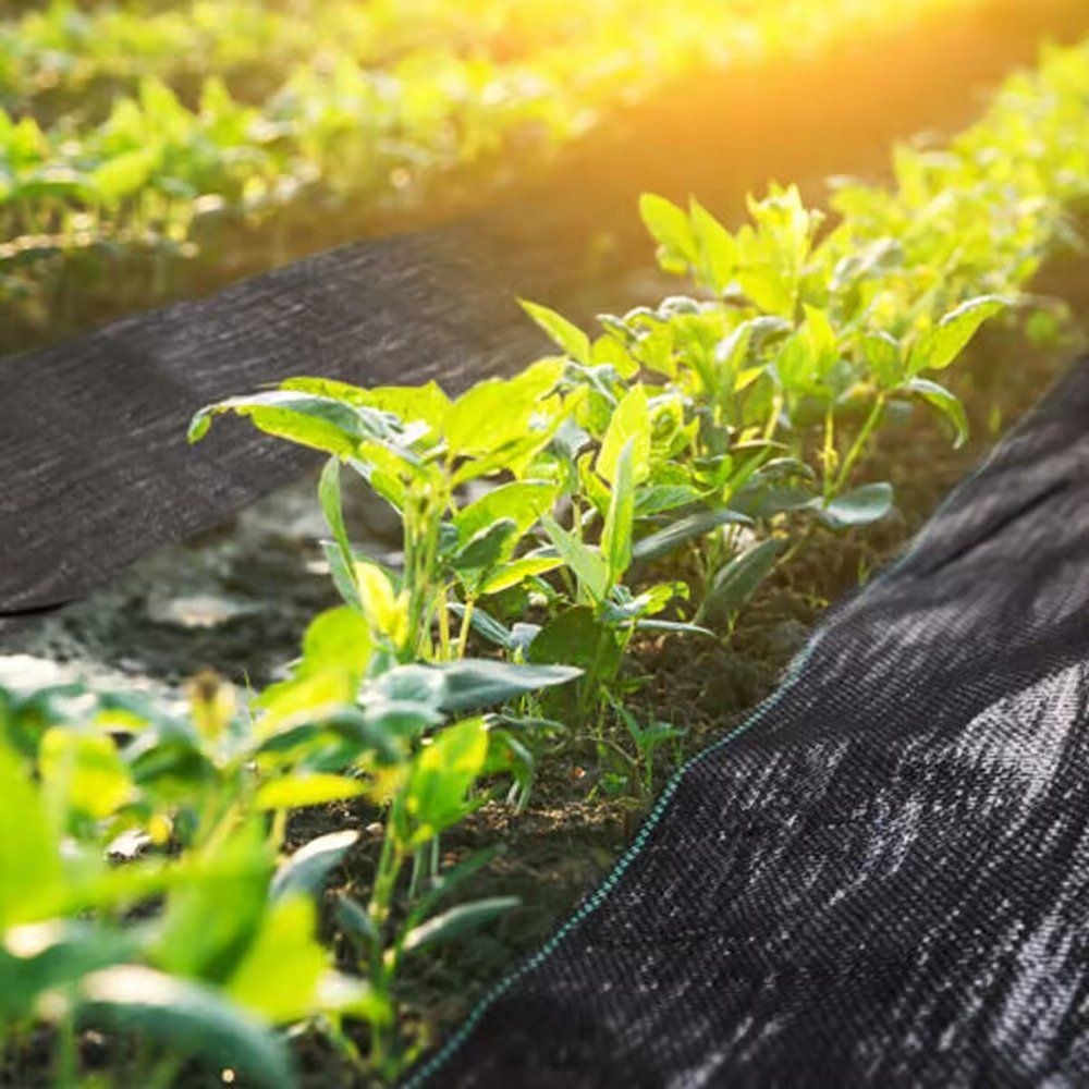 Woven Polypropylene Ground Cover with UV Protection for Tunnel Rows