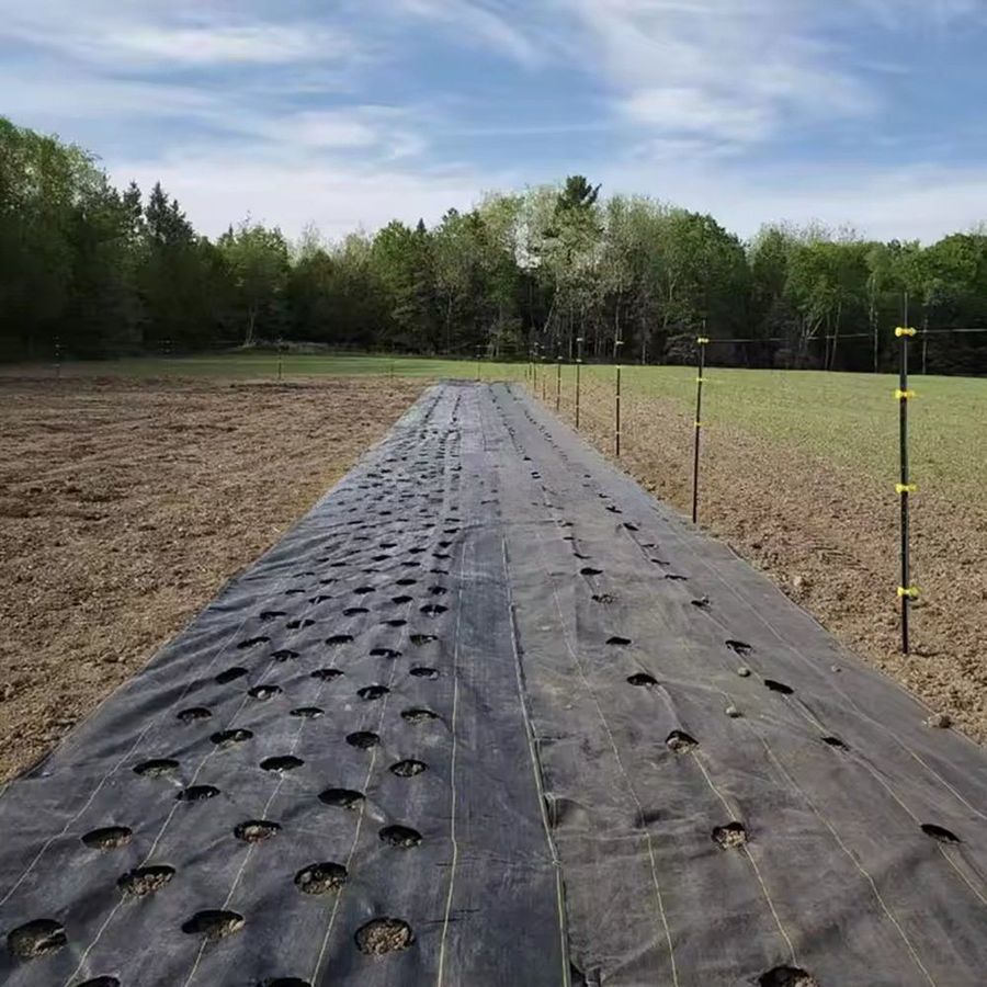 HDPE Anti Weed Mat with UV Resistance for Greenhouse Walkways and Rows
