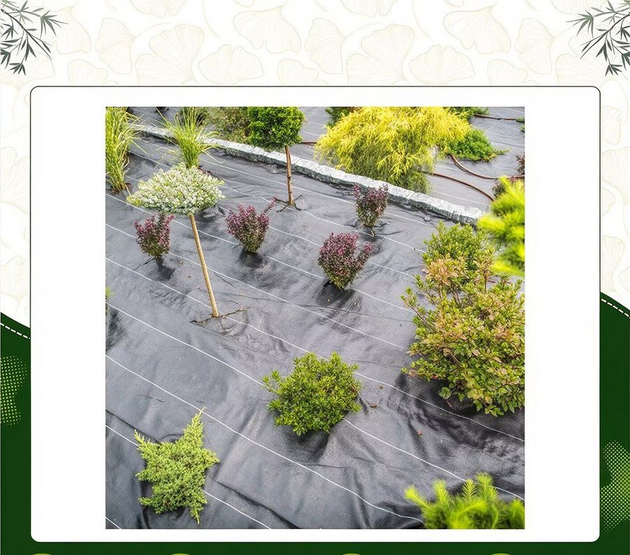 Farm Plastic Mulch Film Anti Weed Cloth Woven Ground Cover Mat