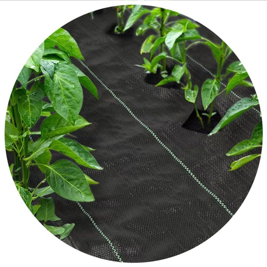 Puncture Resistant Ground Cover Fabric with Needle Punched PP for Greenhouse Growers
