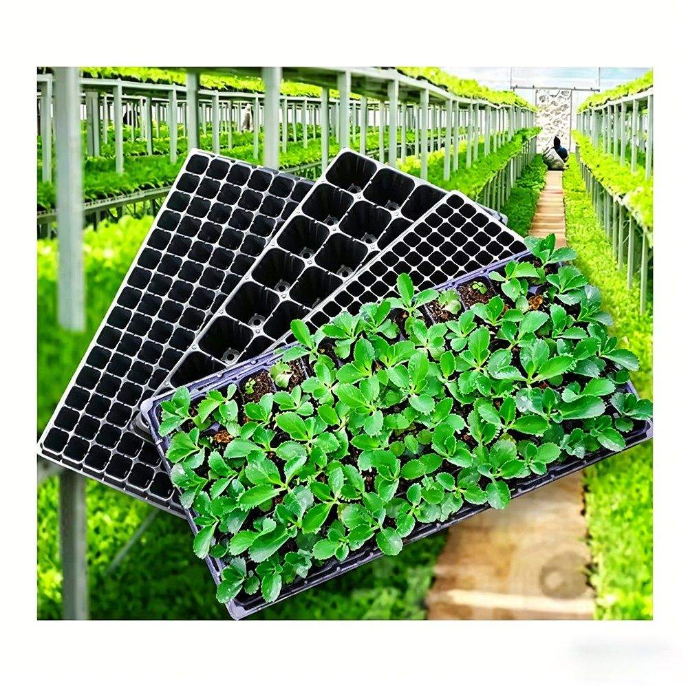 Air Pruning Plant Pot with Seedling Tray for Seed Germination and Propagation
