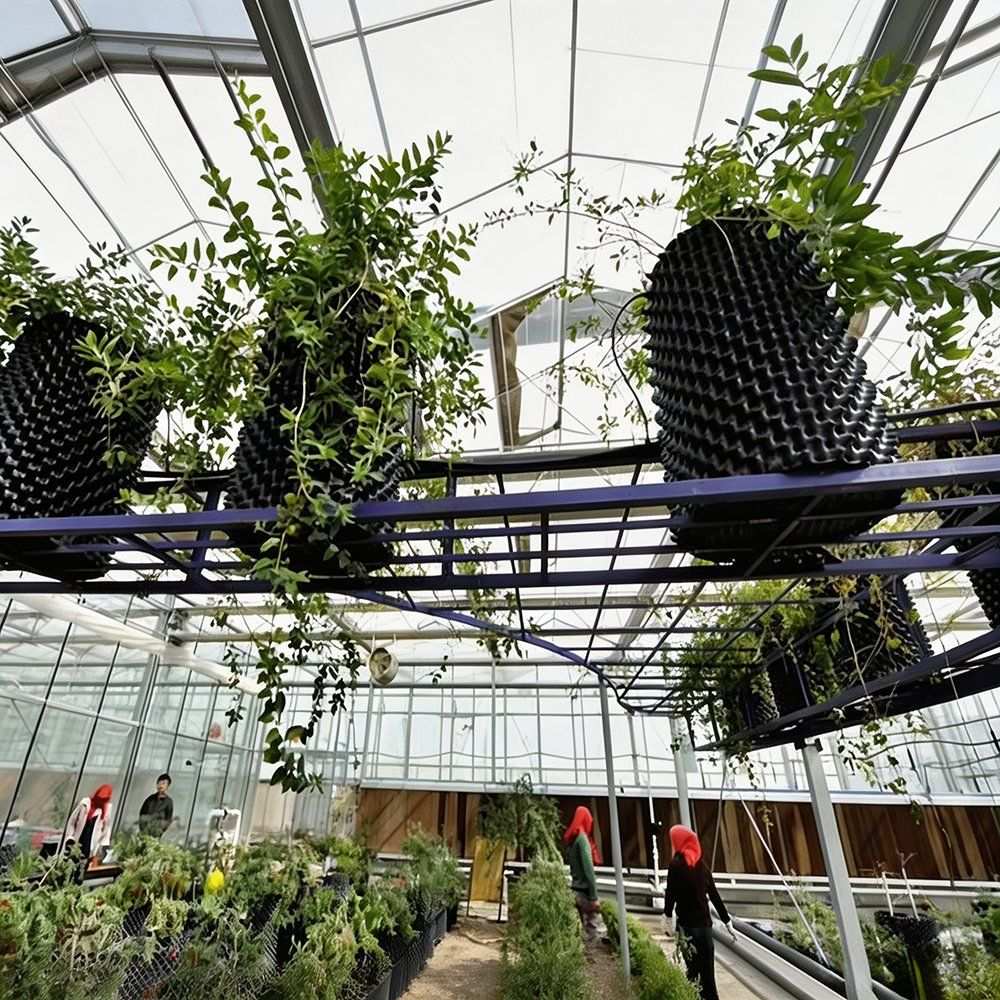 air pruning pot used in a vertical vine training system