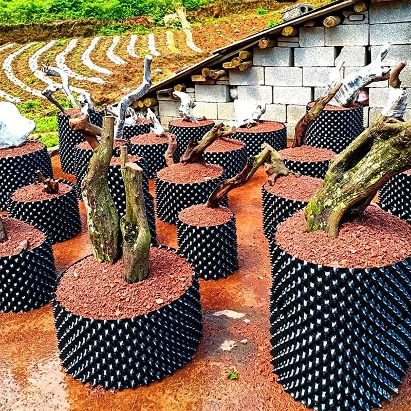 air pruning pots standing in an outdoor tree and shrub bed