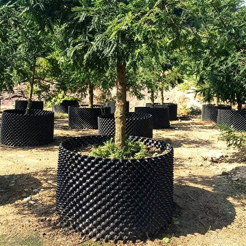 air pruning pots set among trees in a growing garden