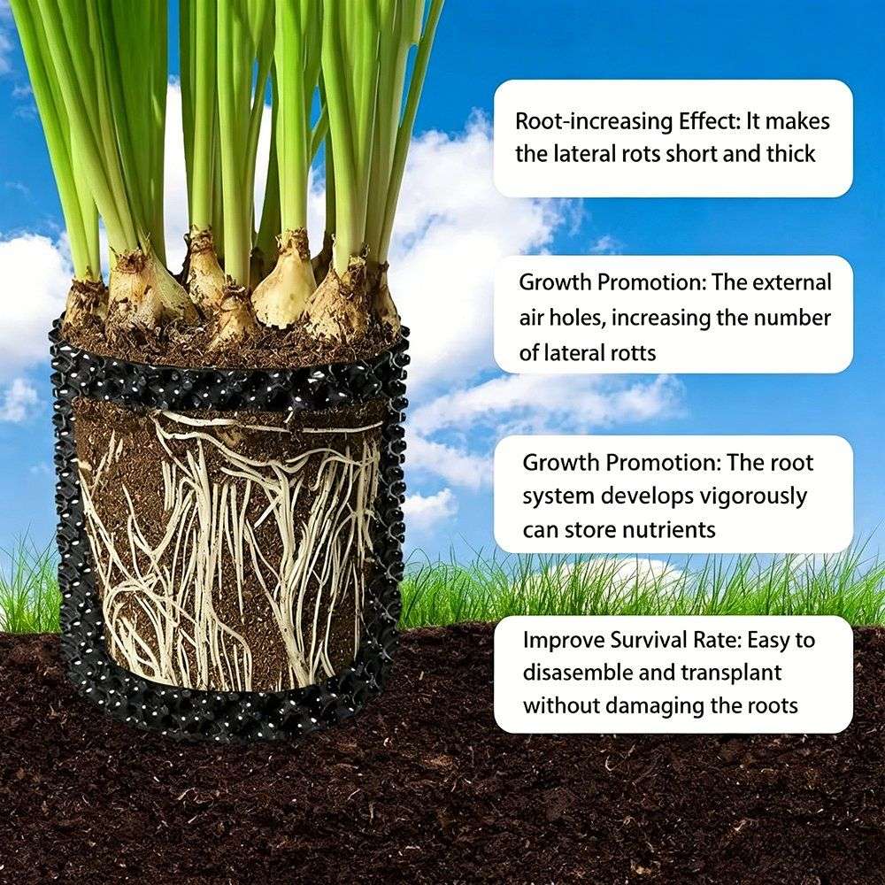 root development effect shown alongside the air pruning planter