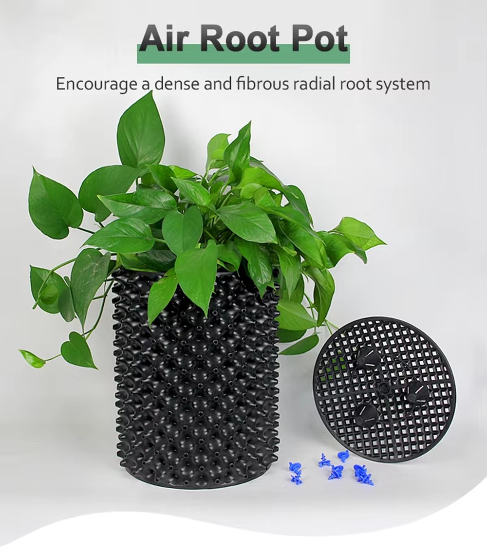 air pruning pot planted with pothos in a studio shot