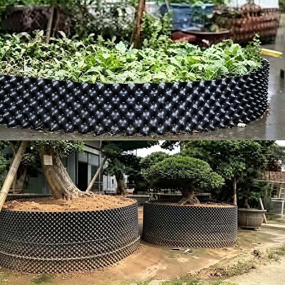 bonsai and ornamental trees growing in air pruning containers