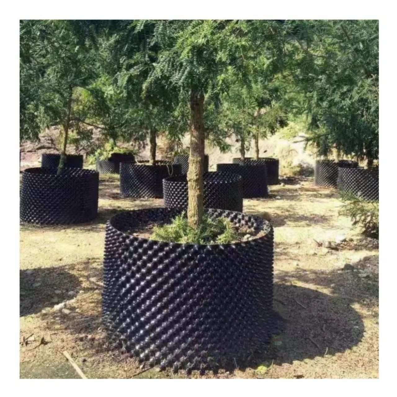 Industrial-Grade Root Pruning Pot for Commercial Nursery Root Control