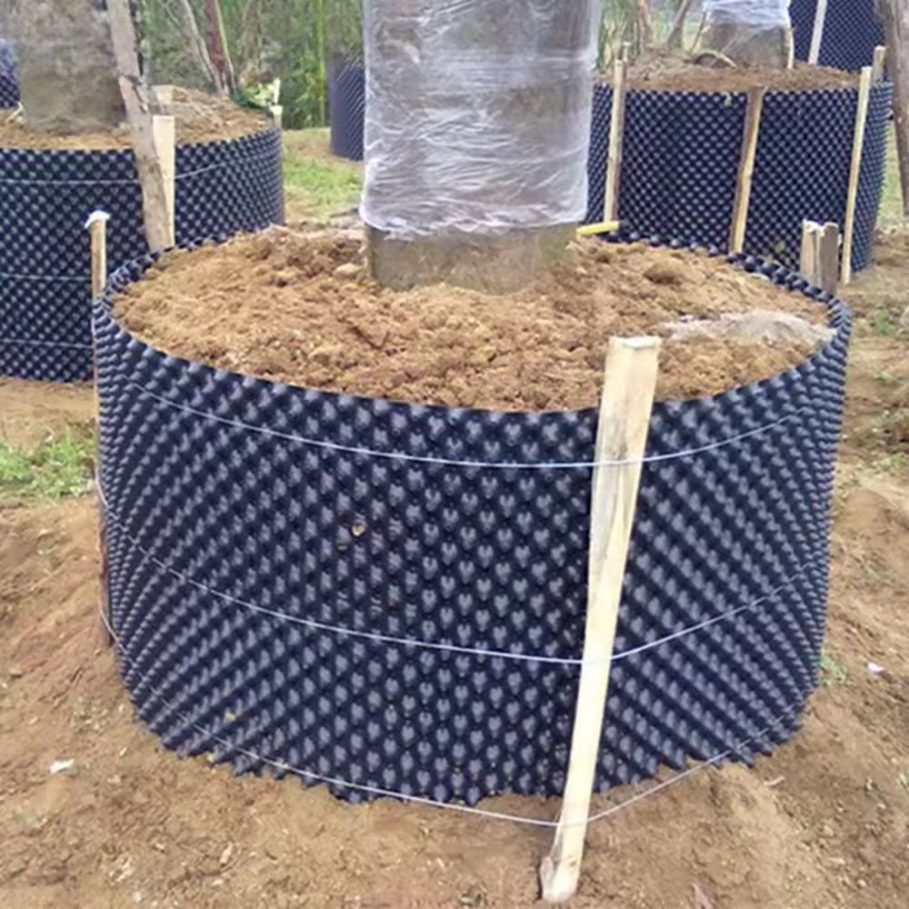 large tree growing in an air pruning pot at a nursery site