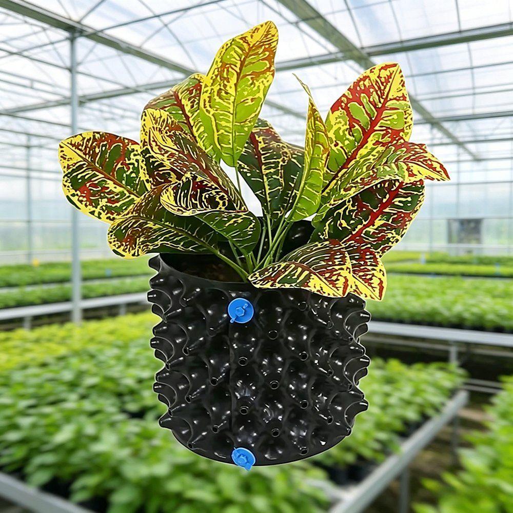 ornamental foliage plants growing in an air pruning pot indoors