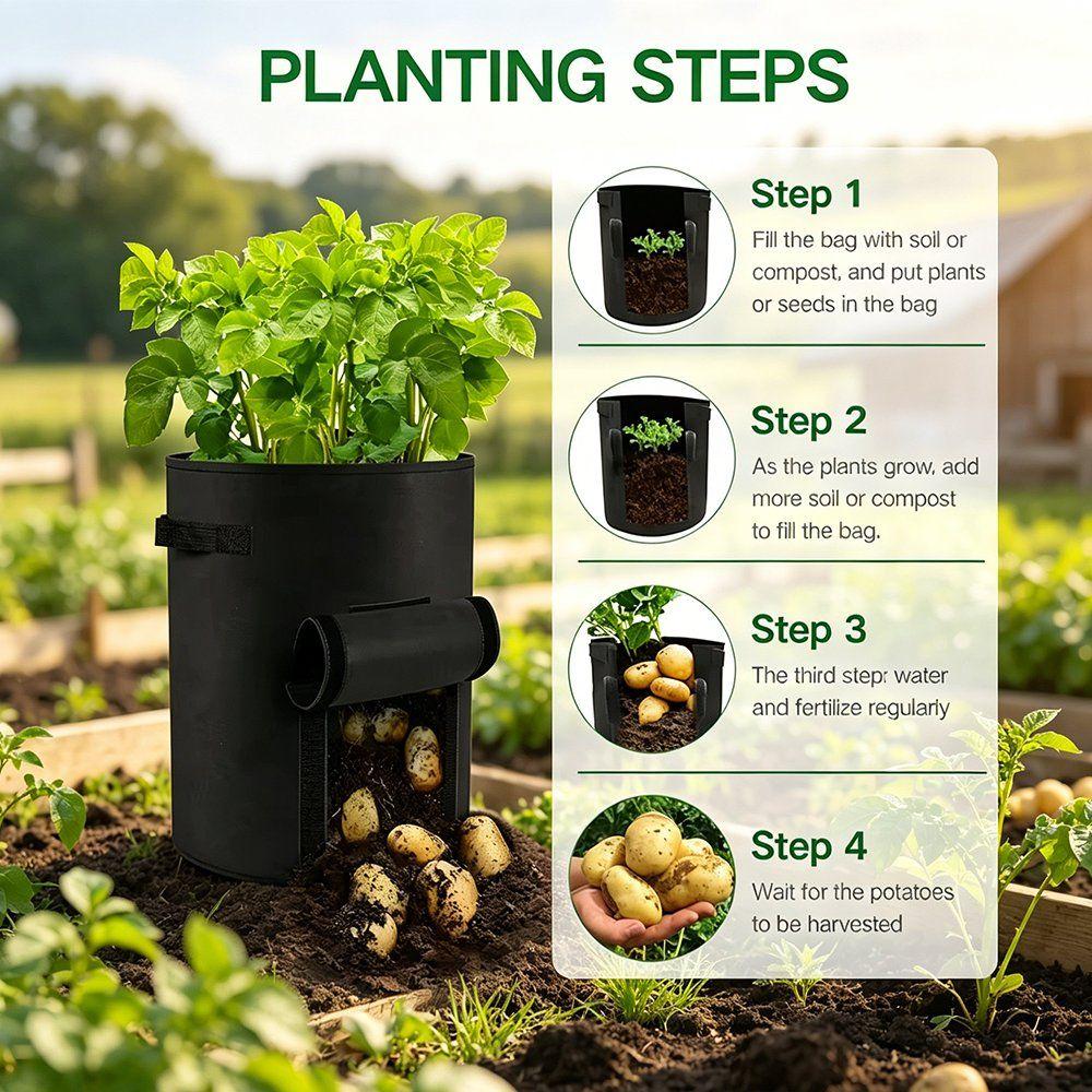 planting steps for potatoes grown in a nonwoven grow bag