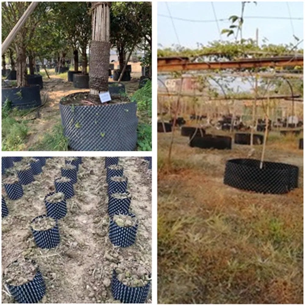 air pruning pots in field and nursery scenes