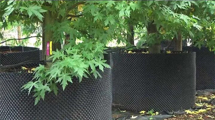 Air Pruning Tree Root Control Container with Base Plates and Screw Fixings