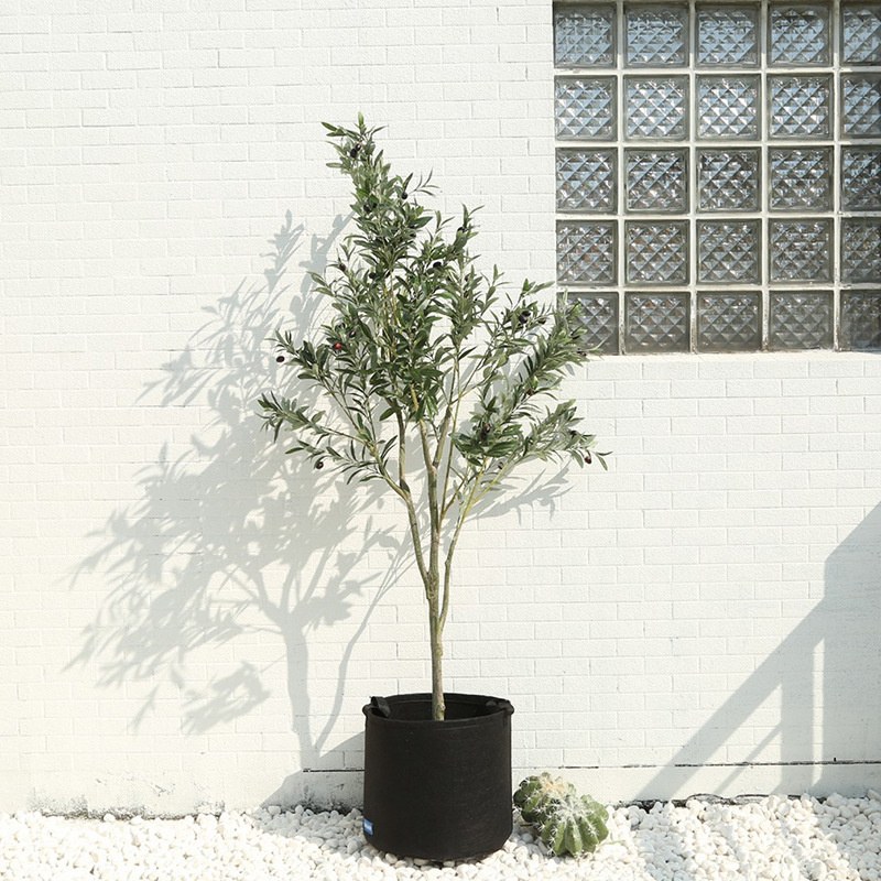 Nonwoven Fabric Grow Bag 1 Gallon Planting Pot with Handles for Balcony Growing