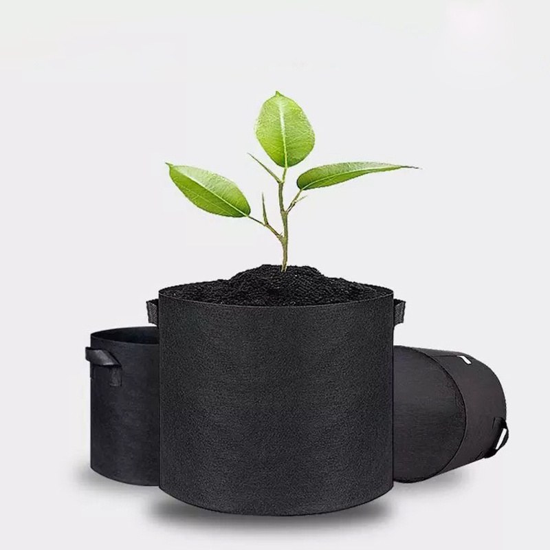 biodegradable nonwoven seedling nursery bag holding a young plant
