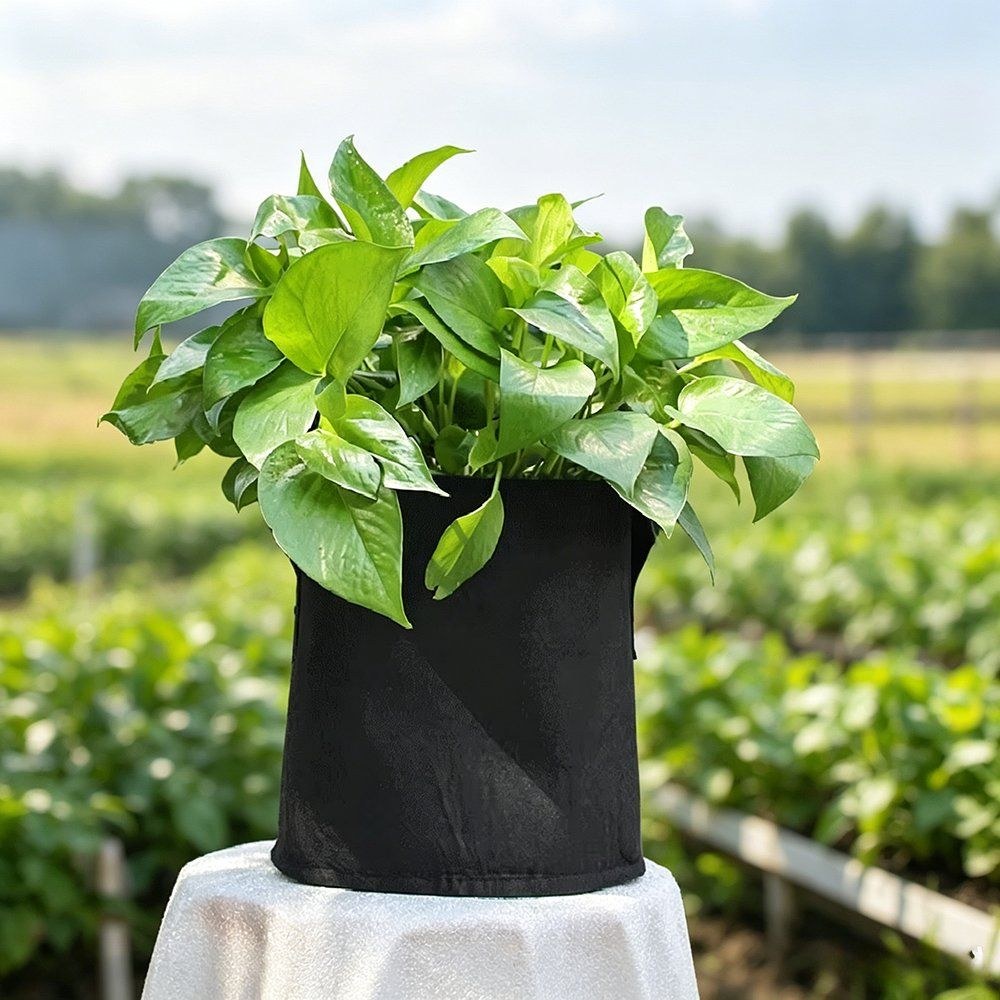 black felt grow bag holding a leafy herb plant against a vegetable field