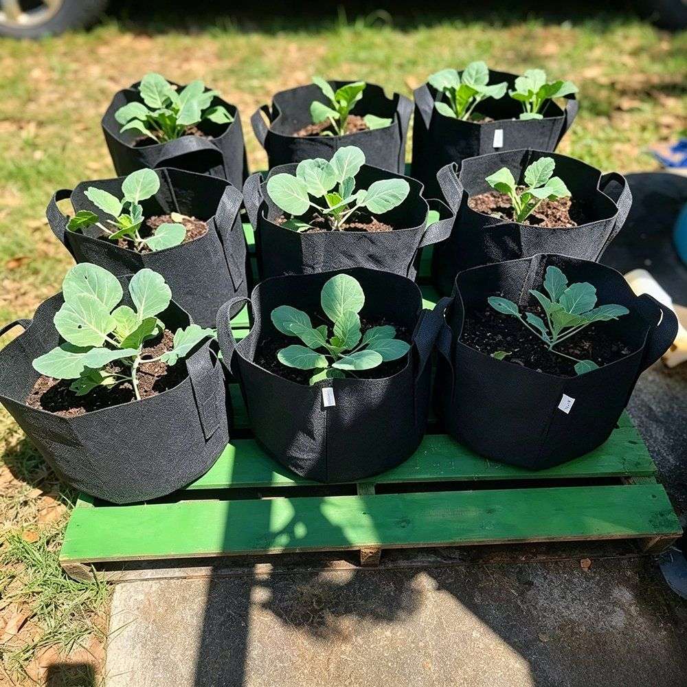 cotton 20 gallon grow bags planted with seedlings in a vegetable garden