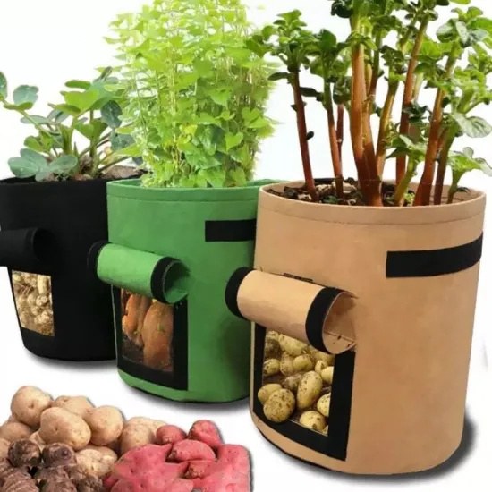 customized nonwoven grow bags in three colours with side windows and harvest