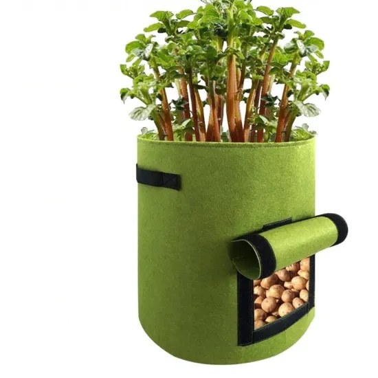 green degradable nursery grow bag with side window and harvested radishes