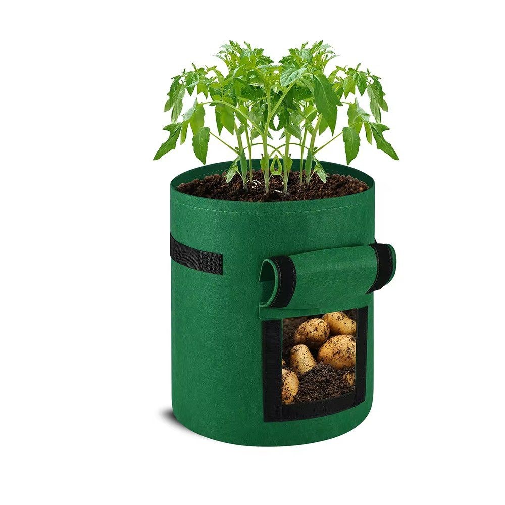 Geotextile Grow Bag with a Bottom Observation Window in 5 to 20 Gallon