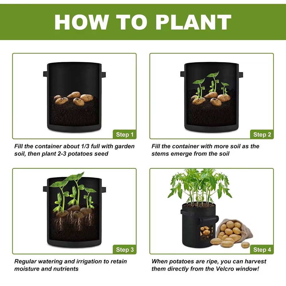 step by step planting guide for a grow bag with a bottom harvest window