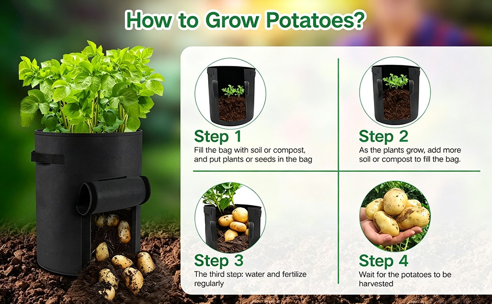 step by step guide for growing a crop in a felt grow bag