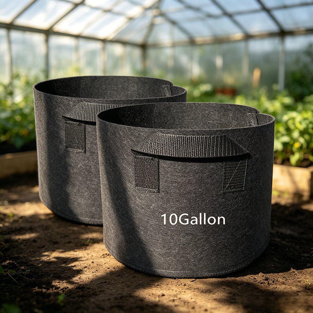 heavy duty black grow bags in a greenhouse under natural light
