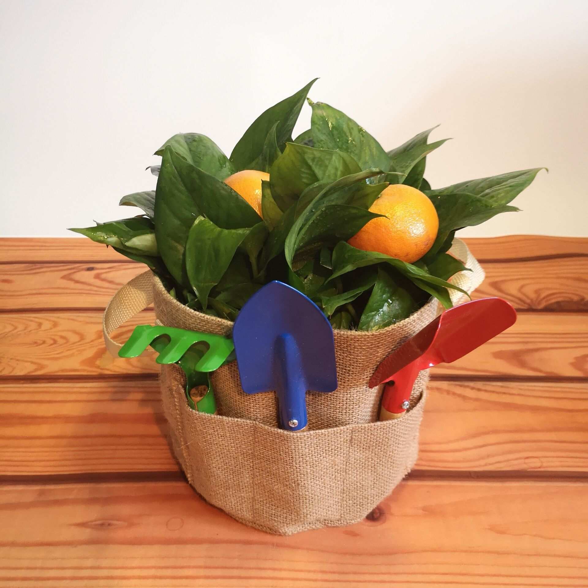Jute Burlap Planting Bag with Handles for Nursery Crops and Potatoes