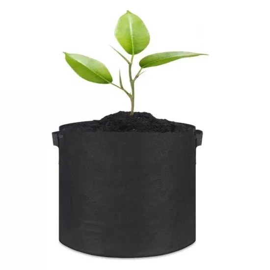 black felt grow bag with a young potato plant growing in compost