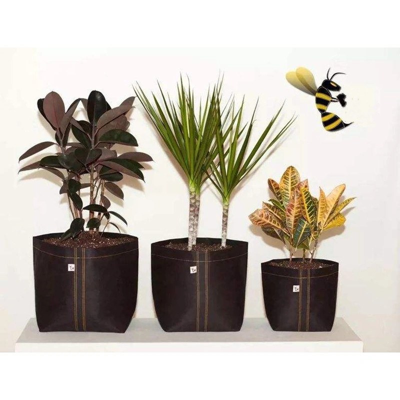 felt grow bags holding four different plants in a row
