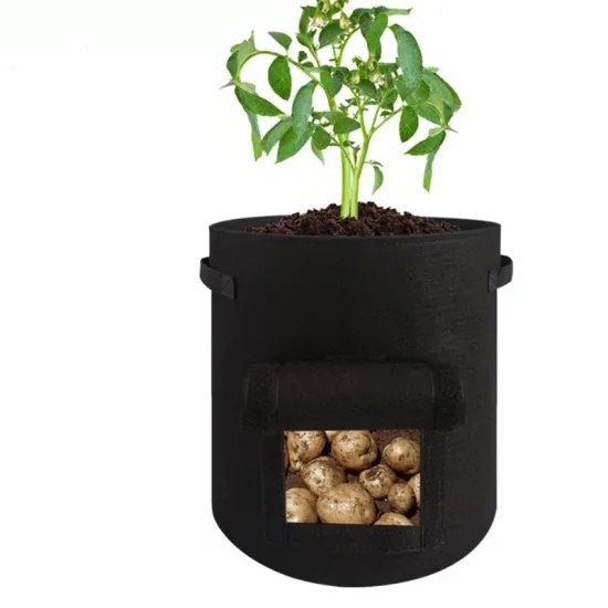 black recycled grow bag with a side window showing harvested potatoes