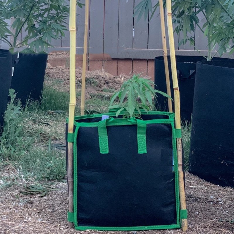 Square 10 Gallon Grow Bag with Pole Holes and Handles for Balcony Gardens