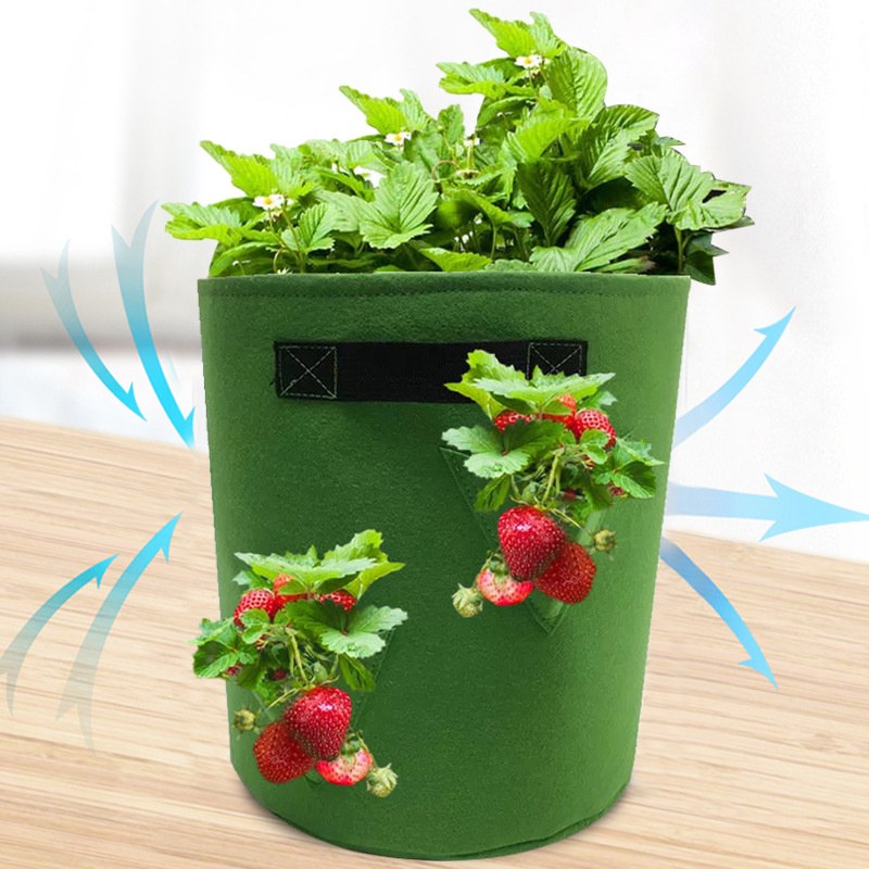 green felt strawberry grow bag with airflow marked around the fruit