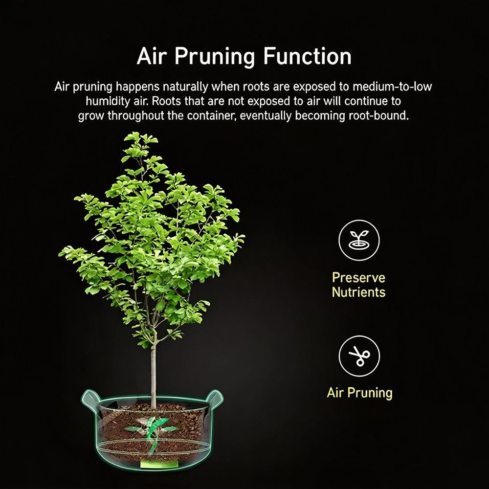 grow bag air pruning function diagram with root rot prevention callouts
