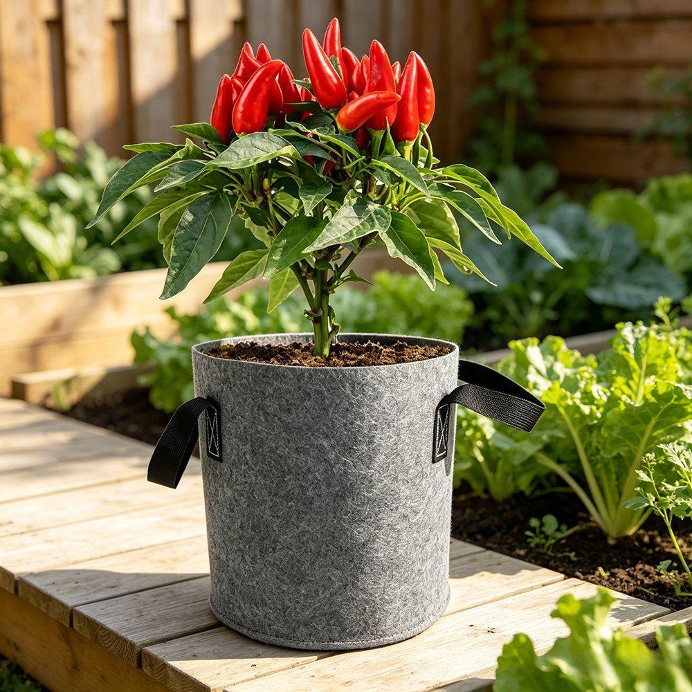 grey felt grow bag with a flowering lily beside a timber fence
