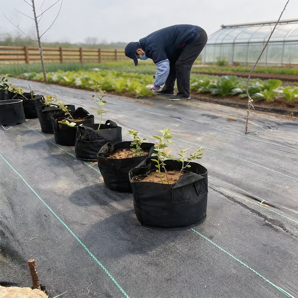 grower setting out a row of filled fabric grow pots on weed mat in a field