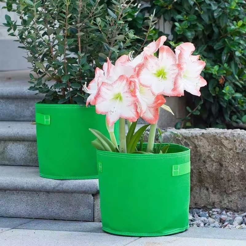 Black and Green Nonwoven Grow Bag in Eight Sizes from 1 to 20 Gallon