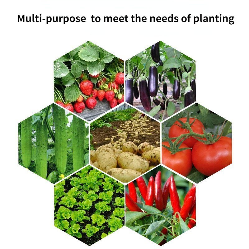 grow bag crop mosaic showing the vegetables grown in the range