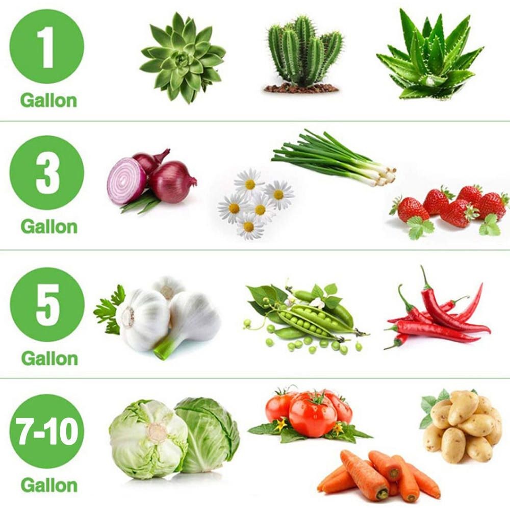 grow bag size to crop guide matching gallon sizes with recommended plants