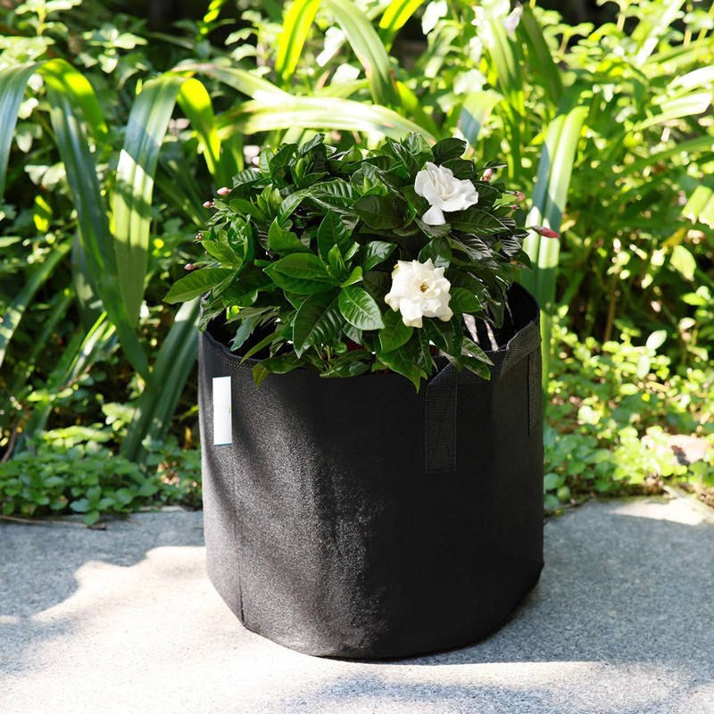 Nonwoven Grow Bag with Green Trim and a Size to Crop Planting Guide