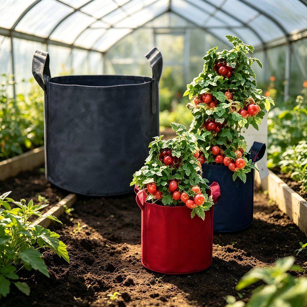 black and red felt grow bags with tomatoes growing in a greenhouse